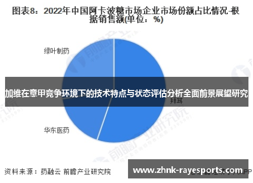 加维在意甲竞争环境下的技术特点与状态评估分析全面前景展望研究 加维在意甲竞争环境下的技术特点与状态评估分析全面前景展望研究