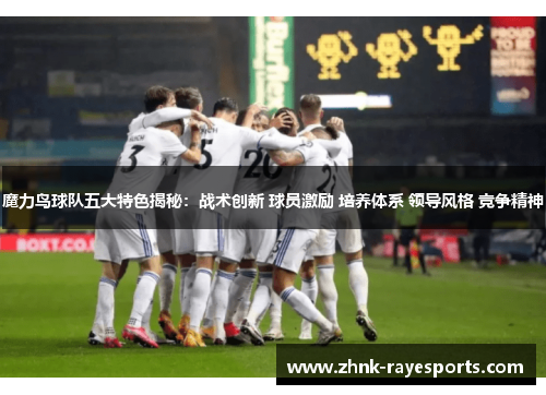 魔力鸟球队五大特色揭秘:战术创新 球员激励 培养体系 领导风格 竞争精神 魔力鸟球队五大特色揭秘:战术创新 球员激励 培养体系 领导风格 竞争精神