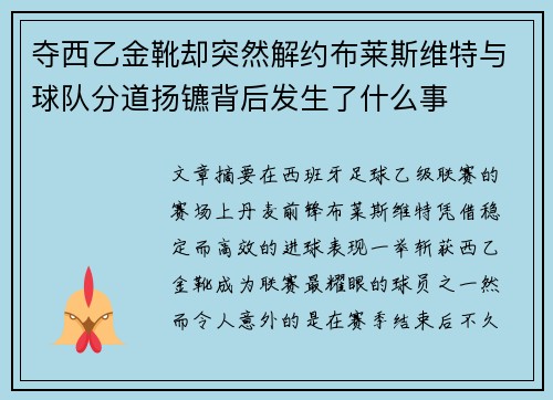 夺西乙金靴却突然解约布莱斯维特与球队分道扬镳背后发生了什么事